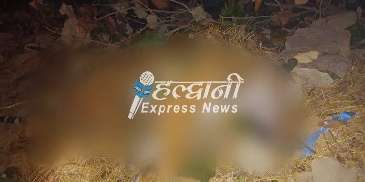 वाहन की चपेट में आने से बाघ की मौत