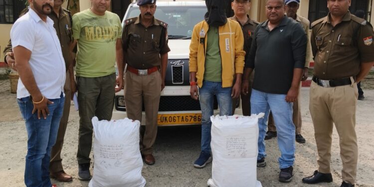नशा तस्करों पर STF का कड़ा प्रहार, 6 लाख के गांजे के साथ एक गिरफ्तार