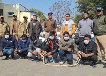 पुलिस ने साइबर ठगी गैंग का किया भंडाफोड़, मास्टरमाइंड समेत 6 गिरफ्तार
