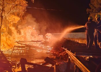 लकड़ी के गोदाम में भीषण आग, चार घंटे की मशक्कत के बाद पाया काबू