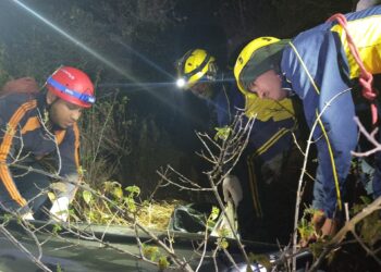 दर्दनाक हादसा: स्कूटी खाई में गिरी, तीन युवकों की मौत