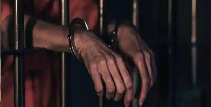 BCCI अध्यक्ष का फर्जी निजी सचिव बनकर होटल में ऐश कर रहा ठग गिरफ्तार