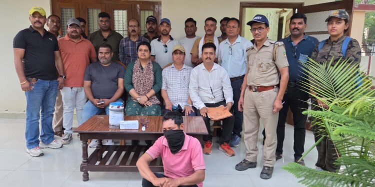 हाथी दांत तस्करी का पर्दाफाश, एसटीएफ और वन विभाग की ज्वाइंट रेड में अंतर्राज्यीय तस्कर गिरफ्तार 