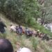 उत्तरकाशी में बड़ा हादसा, यात्रियों को ले जा रहा हेलीकॉप्टर दुर्घटनाग्रस्त, SDRF का रेस्क्यू ऑपरेशन जारी