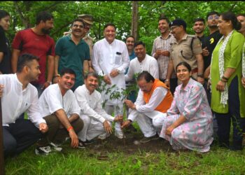 हरेला महापर्व पर सिटी पार्क हल्द्वानी में जनप्रतिनिधियों और अफसरों ने किया पौधारोपण