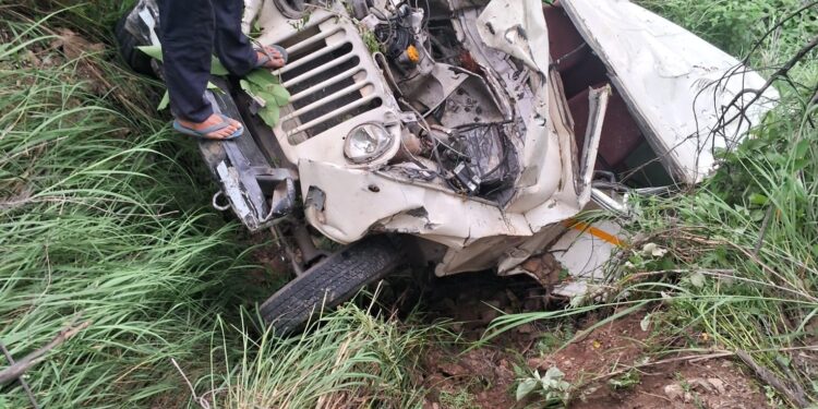 दर्दनाक हादसा: खाई में गिरने से वाहन चालक की मौत