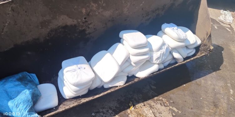 त्योहारों में मिलावटखोरों पर बड़ा प्रहार, 180 किलो पनीर नष्ट, दर्जनों नमूने जांच को भेजे गए