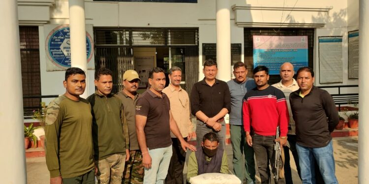 राजाजी पार्क क्षेत्र से हाथी दांत संग वन्यजीव तस्कर गिरफ्तार, एसटीएफ की बड़ी कार्रवाई