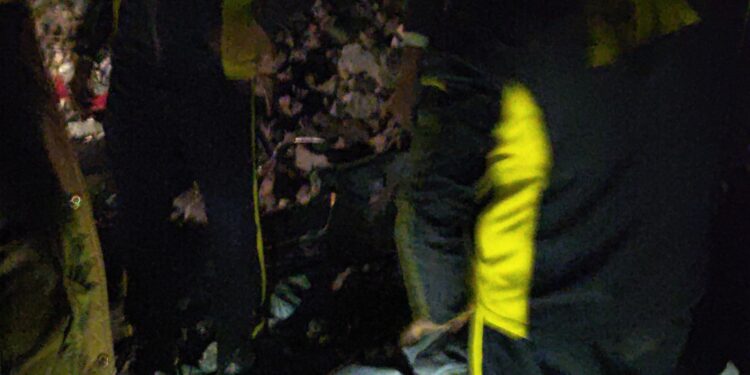 कैंची धाम व टिहरी में दर्दनाक सड़क हादसे, एक घायल बचाया, चार शव बरामद