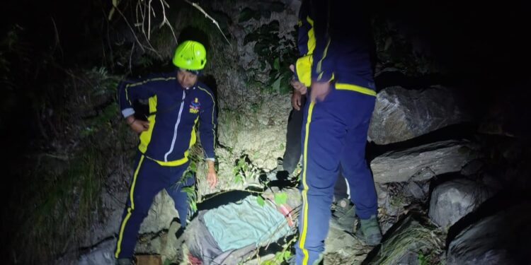 भीषण सड़क हादसा: गहरी खाई में गिरी बोलेरो, पांच की मौत, पांच गंभीर घायल