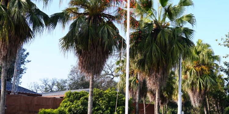 77वें गणतंत्र दिवस पर मुख्यमंत्री धामी ने फहराया तिरंगा