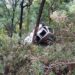 गहरी खाई में समाई कार, तीन युवकों की मौत, SDRF का रातभर चला रेस्क्यू ऑपरेशन