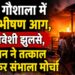 तड़के गौशाला में लगी भीषण आग, दो मवेशी झुलसे, प्रशासन ने तत्काल पहुंचकर संभाला मोर्चा