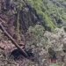 केदारनाथ यात्रा पर फिर संकट: गौरीकुंड के पास भारी भूस्खलन से पैदल मार्ग बंद, यात्रियों की आवाजाही रोकी गई