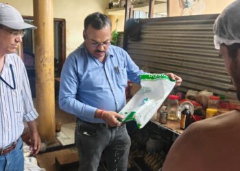 त्योहारों से पहले मिलावटखोरों पर शिकंजा, हल्द्वानी-कालाढूंगी में खाद्य विभाग की ताबड़तोड़ छापेमारी